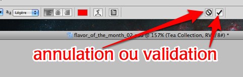 annulation-ou-validation