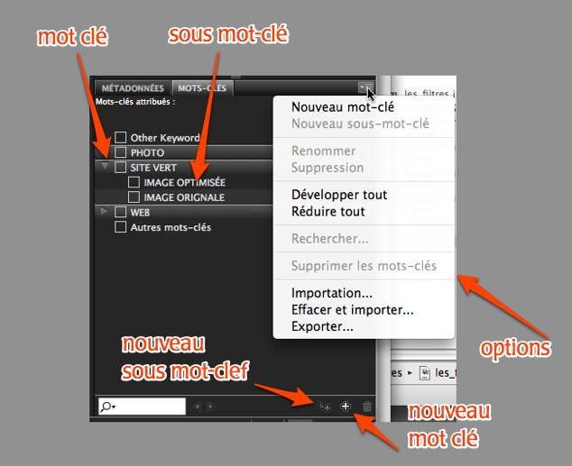 mots_cles