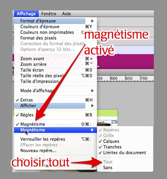 preferences_magnetismes